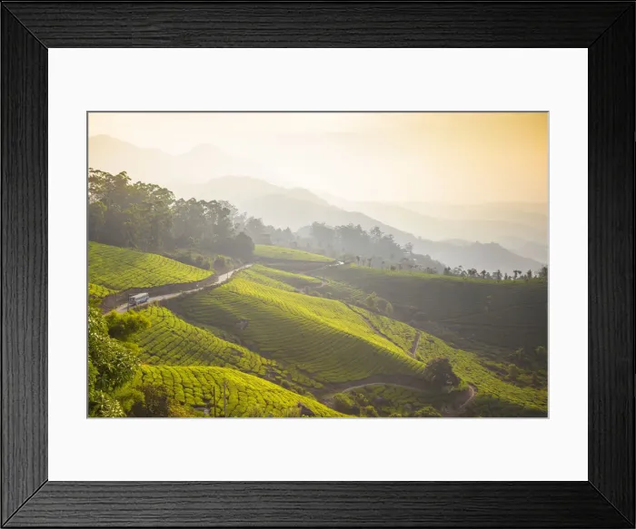 Framed Print : India, Kerala, Munnar, Road winding through Munnar tea estates Framed Print : India, Kerala, Munnar, Road winding through Munnar tea estates