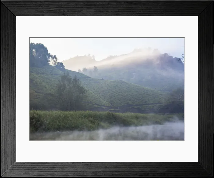 Framed Print : India, Kerala, Munnar, Early morning mist on Muthirappuzhayar River Framed Print : India, Kerala, Munnar, Early morning mist on Muthirappuzhayar River