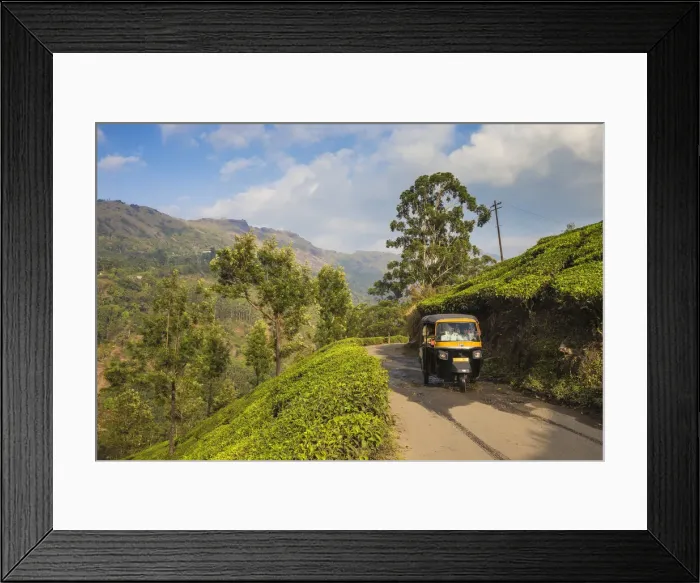 Framed Print : India, Kerala, Munnar Framed Print : India, Kerala, Munnar