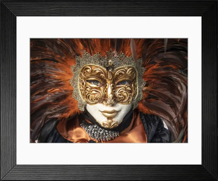 Framed Print : A woman in a feather Venetian mask poses during the Venice Carnival, Burano, Venice Framed Print : A woman in a feather Venetian mask poses during the Venice Carnival, Burano, Venice
