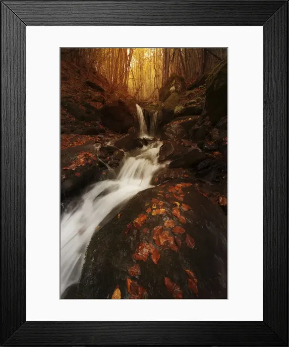 Framed Print : Small water stream in fall running through the Appennines in Emilia Romagna, Italy