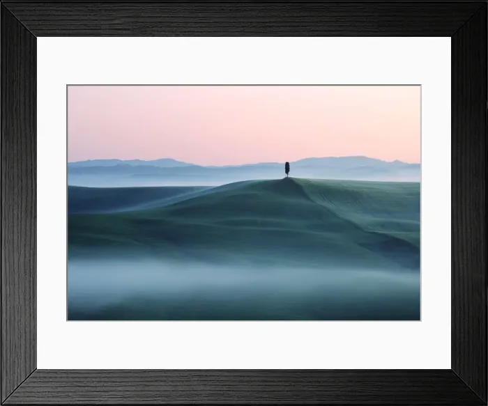 Framed Print : Twilight over a loneny cypress in the Siena countryside, Tuscany, Italy Framed Print : Twilight over a loneny cypress in the Siena countryside, Tuscany, Italy