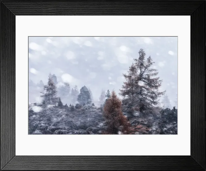 Framed Print : Autumn snowstorm near the Falzarego Pass in the Dolomites, Italy Framed Print : Autumn snowstorm near the Falzarego Pass in the Dolomites, Italy
