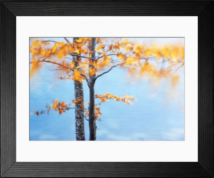 Framed Print : Moving leaves during a windy autumn day at Lago Santo, Appennines, Emilia Romagna, Italy Framed Print : Moving leaves during a windy autumn day at Lago Santo, Appennines, Emilia Romagna, Italy