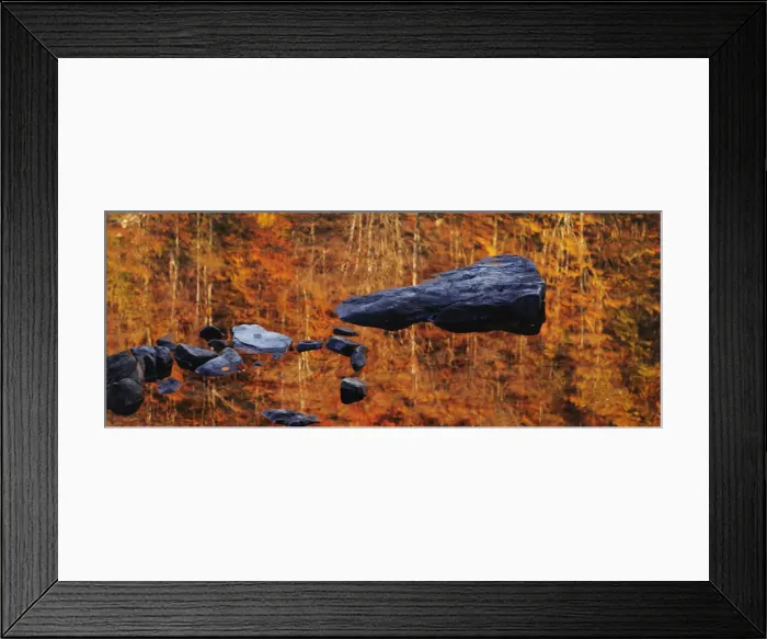 Framed Print : Reflection at sunrise of the forest in the Lago Santo, Appennines, Emilia Romagna, Italy Framed Print : Reflection at sunrise of the forest in the Lago Santo, Appennines, Emilia Romagna, Italy