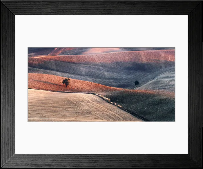 Framed Print : Two trees in the Siena countryside at sunset in summer, Val d Orcia, Tuscany, Italy Framed Print : Two trees in the Siena countryside at sunset in summer, Val d Orcia, Tuscany, Italy