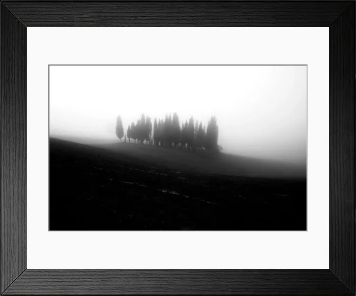 Framed Print : Cypress forest covered with fog during autumn, Val d Orcia, Tuscany, Italy Framed Print : Cypress forest covered with fog during autumn, Val d Orcia, Tuscany, Italy
