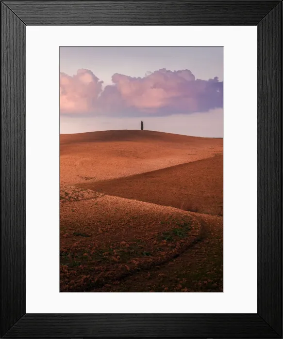 Framed Print : Lone tree with rolling hills in autumn at sunset, Val d Orcia, Tuscany, Italy Framed Print : Lone tree with rolling hills in autumn at sunset, Val d Orcia, Tuscany, Italy