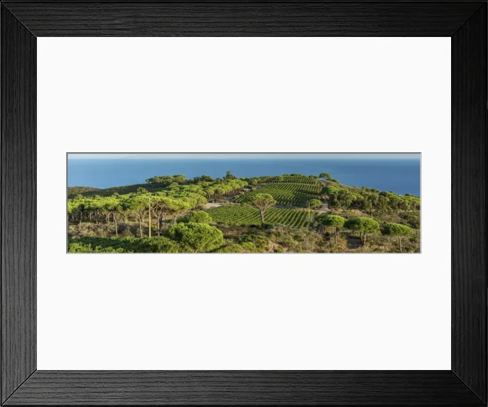 Framed Print : europe, Italy, Tuscany, Elba Island, a view from the hike on Capoliveri Peninsula Framed Print : europe, Italy, Tuscany, Elba Island, a view from the hike on Capoliveri Peninsula