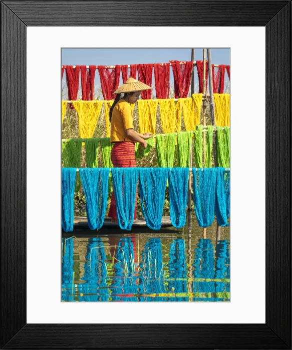 Framed Print : Woman hanging dyed yarn from a boat to dry in a traditional weaving village on Lake Inle Framed Print : Woman hanging dyed yarn from a boat to dry in a traditional weaving village on Lake Inle