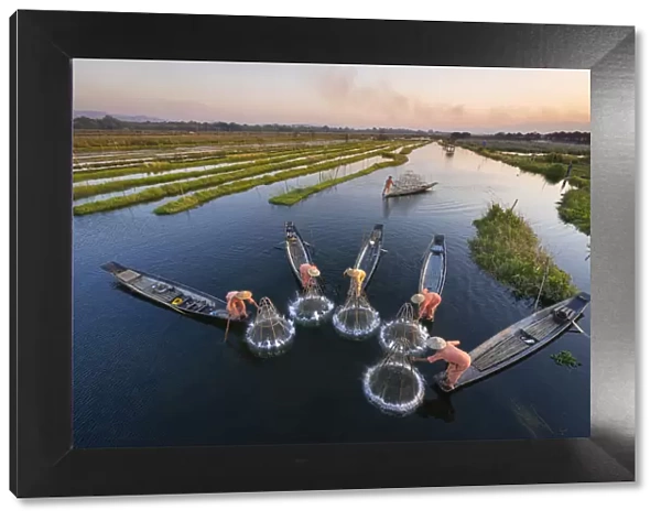 High angle of five traditional fishermen fishing together using conical nets, Lake Inle