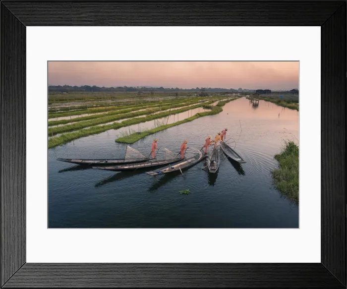 Framed Print : Elevated view of five leg-rowing fishermen rowing on Lake Inle before sunset, Lake Inle Framed Print : Elevated view of five leg-rowing fishermen rowing on Lake Inle before sunset, Lake Inle
