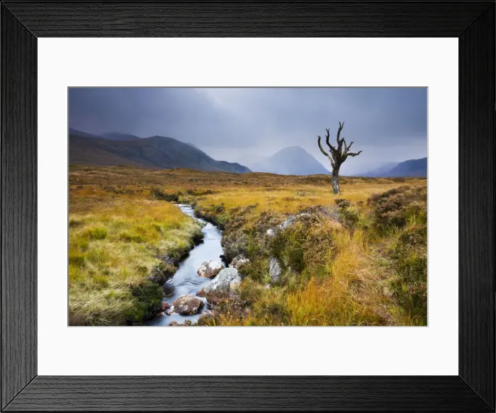 Framed Print : Dead tree and stream on moorland wilderness of Rannoch Moor, Highlands, Scotland Framed Print : Dead tree and stream on moorland wilderness of Rannoch Moor, Highlands, Scotland