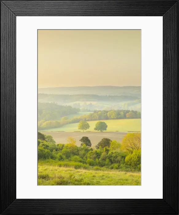Framed Print : Newlands Corner, North Downs, Guildford, Surrey, England, UK Framed Print : Newlands Corner, North Downs, Guildford, Surrey, England, UK