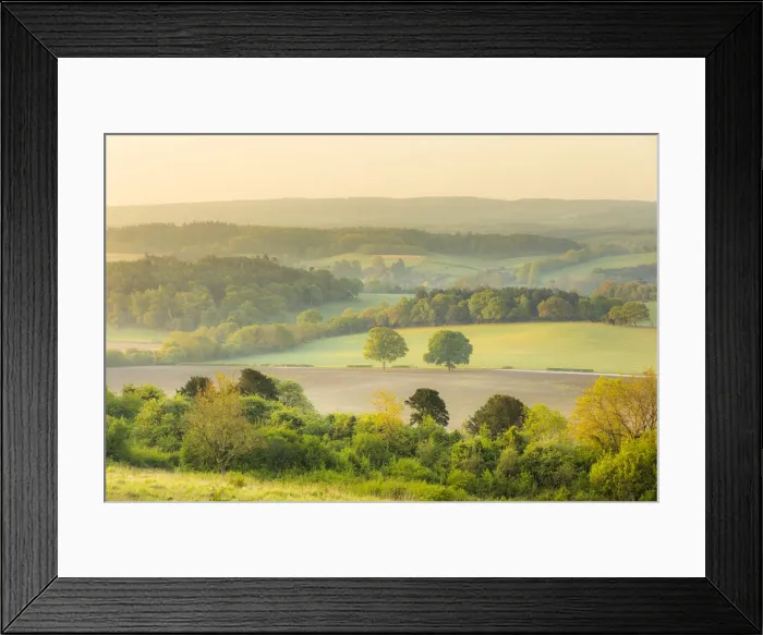 Framed Print : Newlands Corner, North Downs, Guildford, Surrey, England, UK Framed Print : Newlands Corner, North Downs, Guildford, Surrey, England, UK