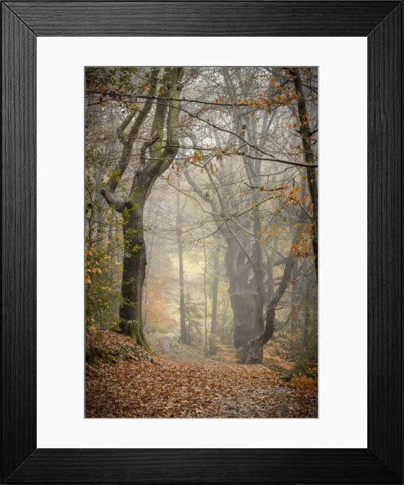 Framed Print : UK, England, Shropshire, Ludlow, Whitcliffe, Whitcliffe Common Framed Print : UK, England, Shropshire, Ludlow, Whitcliffe, Whitcliffe Common