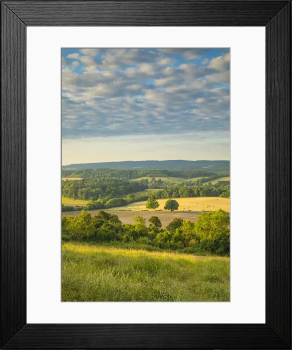 Framed Print : Newlands Corner, North Downs, Guildford, Surrey, England, UK Framed Print : Newlands Corner, North Downs, Guildford, Surrey, England, UK