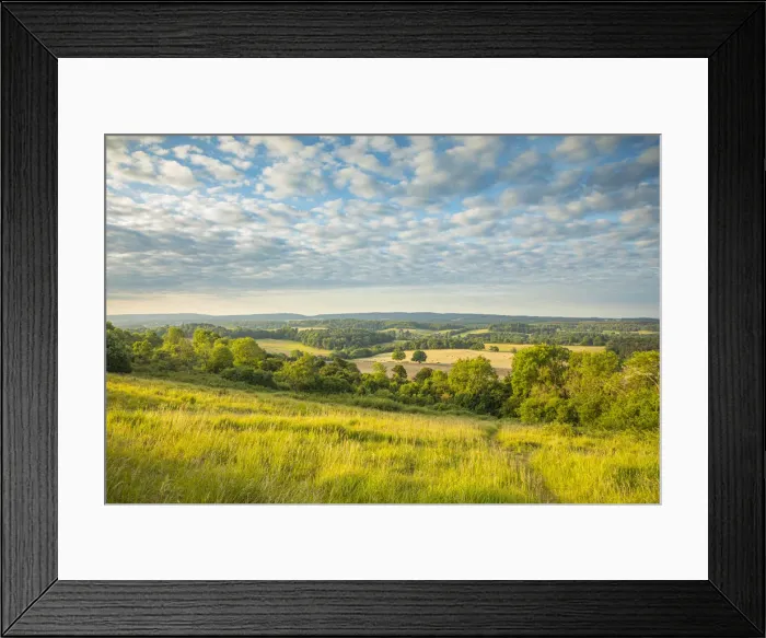 Framed Print : Newlands Corner, North Downs, Guildford, Surrey, England, UK Framed Print : Newlands Corner, North Downs, Guildford, Surrey, England, UK