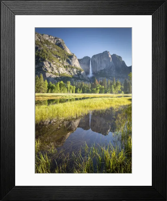 Framed Print : Yosemite Falls reflected in flood waters in Yosemite Valley, California, USA