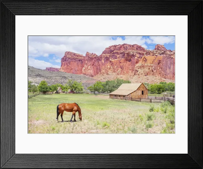 Framed Print : Gifford Farmhouse, Capitol Reef National Park, Utah, USA Framed Print : Gifford Farmhouse, Capitol Reef National Park, Utah, USA