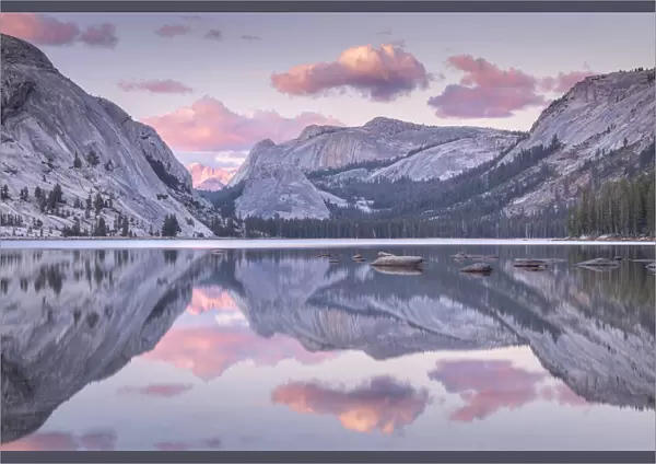 Pink sunset above a reflective Tenaya Lake, Yosemite National Park, California, USA
