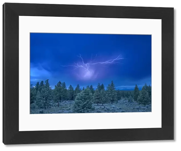 USA, Oregon, Deschutes National Forest, Bend, lightning