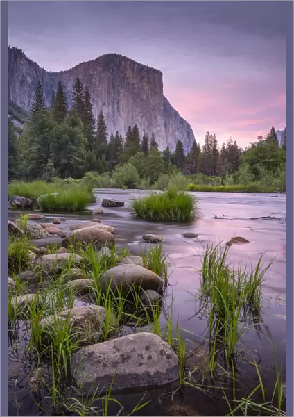 Pink twilight over the River Merced at Valley View, Yosemite National Park, California