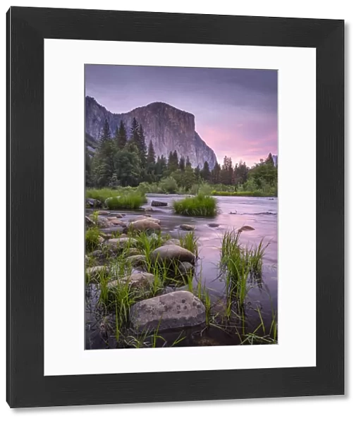 Pink twilight over the River Merced at Valley View, Yosemite National Park, California