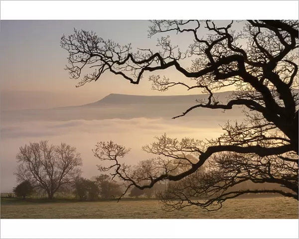 Misty dawn looking towards Mynydd Llangorse in the Brecon Beacons National Park, Powys
