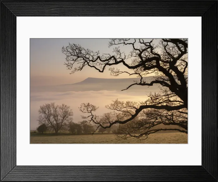 Framed Print : Misty dawn looking towards Mynydd Llangorse in the Brecon Beacons National Park, Powys Framed Print : Misty dawn looking towards Mynydd Llangorse in the Brecon Beacons National Park, Powys