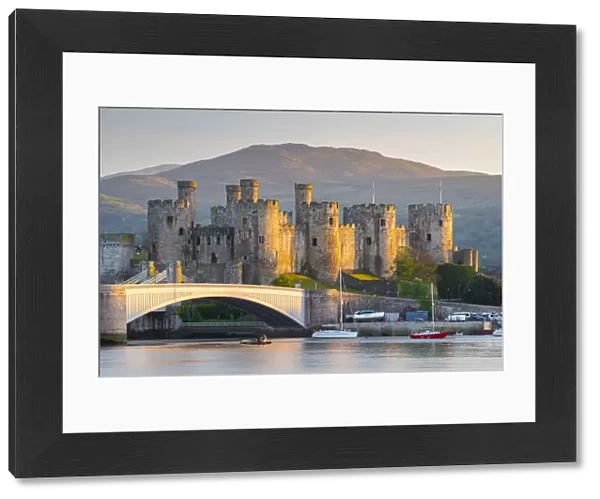 Majestic ruins of Conwy Castle in evening light, Snowdonia National Park, Wales, UK