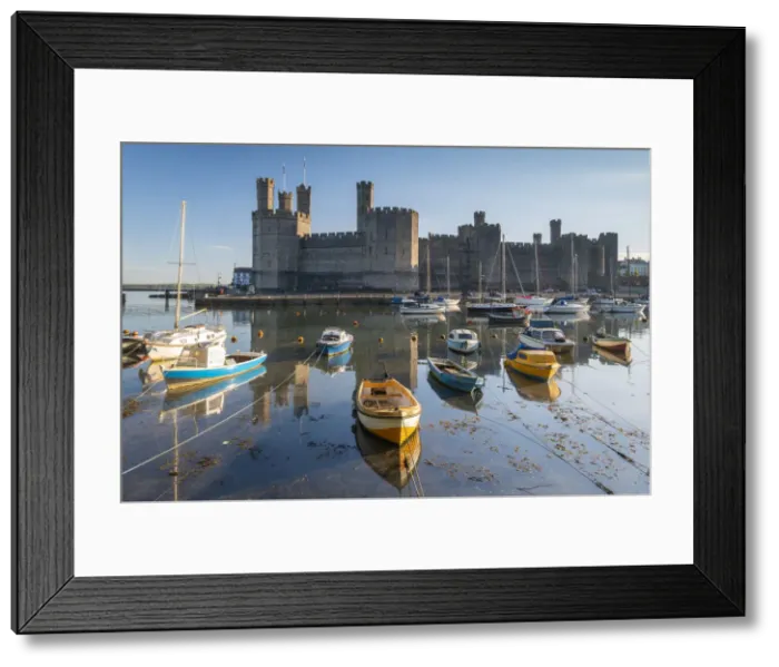 Framed Print : Caernarvon Castle and boats, Snowdonia, Wales, UK. Spring Framed Print : Caernarvon Castle and boats, Snowdonia, Wales, UK. Spring