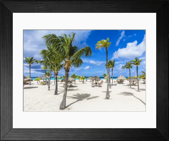 Framed Print : Caribbean, Aruba, Oranjestad, Palm trees on Eagle Beach Framed Print : Caribbean, Aruba, Oranjestad, Palm trees on Eagle Beach