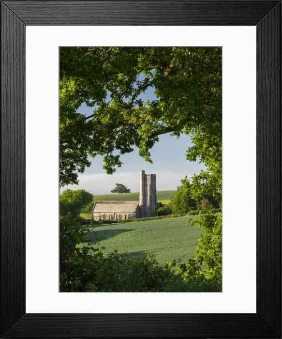 Framed Print : Spring foliage surrounding Shobrooke Church near Crediton, Devon, England