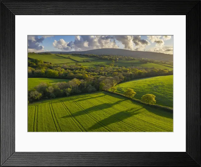 Framed Print : Aerial photo of rolling countryside in evening light, Livaton, Devon, England Framed Print : Aerial photo of rolling countryside in evening light, Livaton, Devon, England