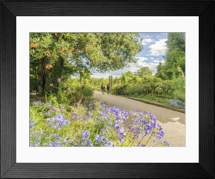 Framed Print : A couple walking in Regents park, London, England, UK Framed Print : A couple walking in Regents park, London, England, UK
