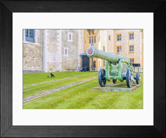 Framed Print : The bronze 24 Pounder Cannon and a raven at the Tower of London