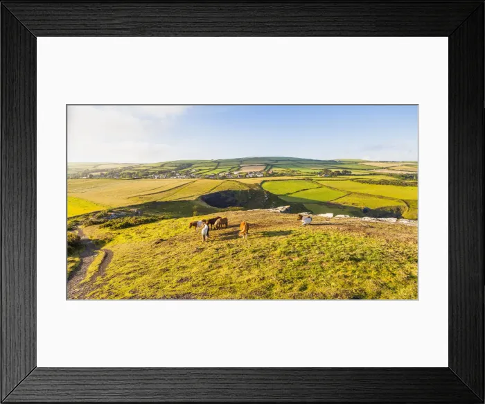 Framed Print : Horses in Boscastle, North Cornwall, Cornwall, England, UK Framed Print : Horses in Boscastle, North Cornwall, Cornwall, England, UK