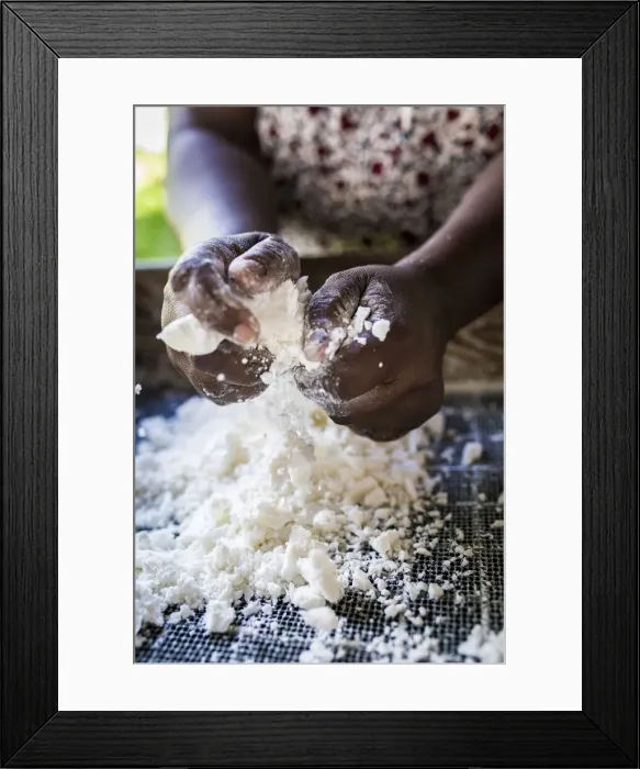 Framed Print : France, Guadalupe, Petit-Bourg, Woman crushing manioc pieces Framed Print : France, Guadalupe, Petit-Bourg, Woman crushing manioc pieces