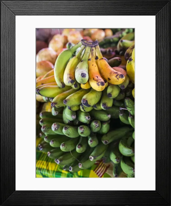Framed Print : France, Guadalupe, Saint-Franazois, Bananas at the Saint-Franazois market Framed Print : France, Guadalupe, Saint-Franazois, Bananas at the Saint-Franazois market
