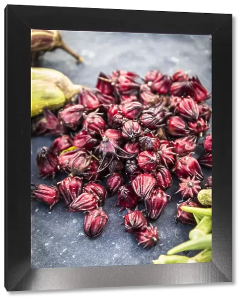 France, Guadeloupe, Pointe-a-Pitre, the dock market. Hibiscus sabdariffa or roselle