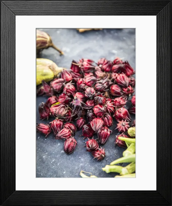 Framed Print : France, Guadeloupe, Pointe-a-Pitre, the dock market. Hibiscus sabdariffa or roselle Framed Print : France, Guadeloupe, Pointe-a-Pitre, the dock market. Hibiscus sabdariffa or roselle