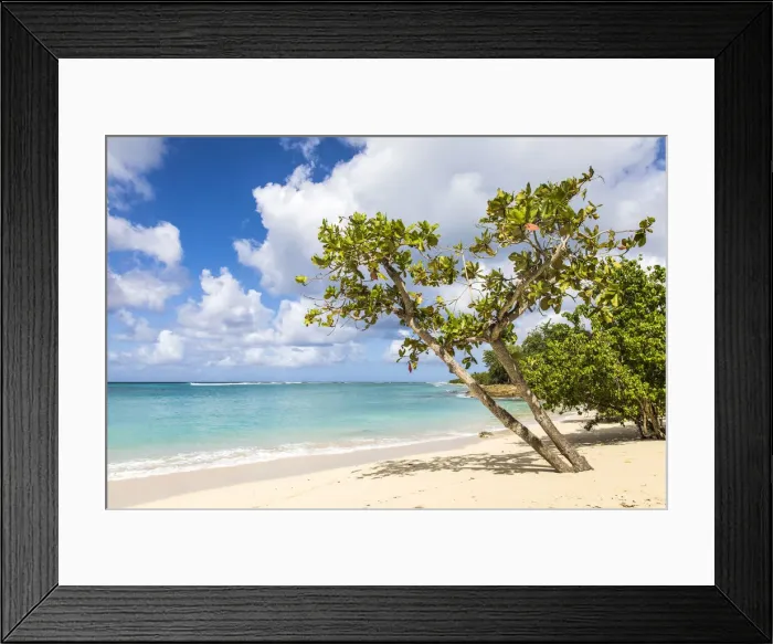 Framed Print : France, Guadalupe, Port-Louis, The Souffleur beach in Port-Louis Framed Print : France, Guadalupe, Port-Louis, The Souffleur beach in Port-Louis