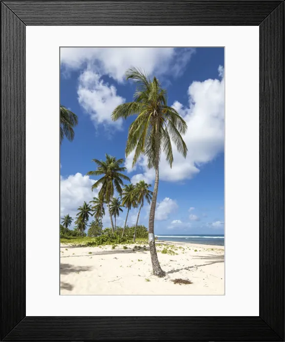 Framed Print : France, Guadalupe, Anse-Bertrand. The Plage de la Chappelle beach in Anse-Bertrand Framed Print : France, Guadalupe, Anse-Bertrand. The Plage de la Chappelle beach in Anse-Bertrand
