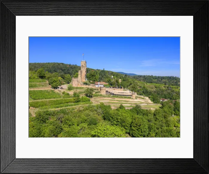 Framed Print : Wachenheim castle ruin, Palatinate wine road, Rhineland-Palatinate, Germany Framed Print : Wachenheim castle ruin, Palatinate wine road, Rhineland-Palatinate, Germany