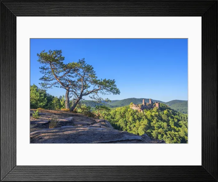 Framed Print : View at Alt-Dahn castle group near Dahn, Palatinate forest, Rhineland-Palatinate, Germany Framed Print : View at Alt-Dahn castle group near Dahn, Palatinate forest, Rhineland-Palatinate, Germany