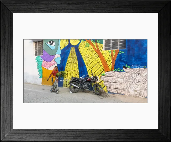 Framed Print : A woman walking in the street in Pushkar, Rajasthan, India, Asia Framed Print : A woman walking in the street in Pushkar, Rajasthan, India, Asia