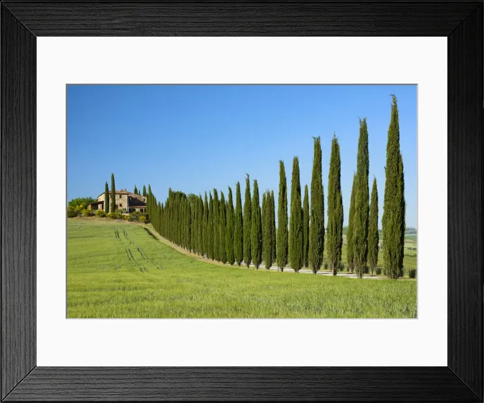 Framed Print : Europe; Italy; Tuscany; Florence; Montepulciano, farmhouse and Cypress alley