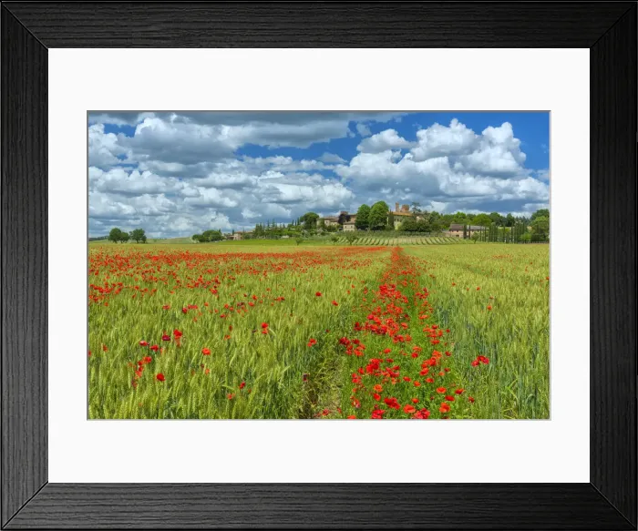 Framed Print : Europe, European, Italian, Italy, Tuscany, Tuscan, Torrenieri Framed Print : Europe, European, Italian, Italy, Tuscany, Tuscan, Torrenieri