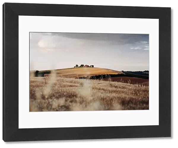 Rural scene, wheat and hills in Marche region, Central Italy